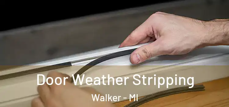  Door Weather Stripping Walker - MI