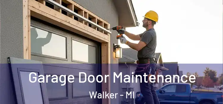  Garage Door Maintenance Walker - MI