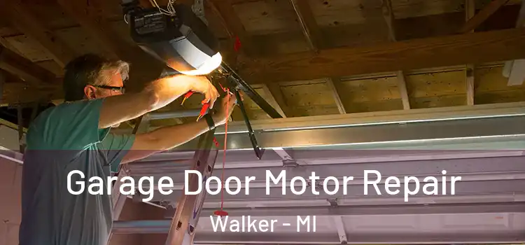  Garage Door Motor Repair Walker - MI