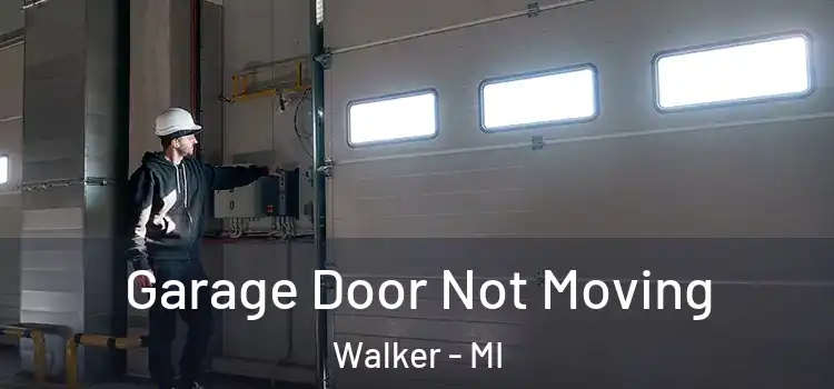  Garage Door Not Moving Walker - MI