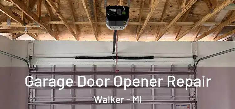  Garage Door Opener Repair Walker - MI