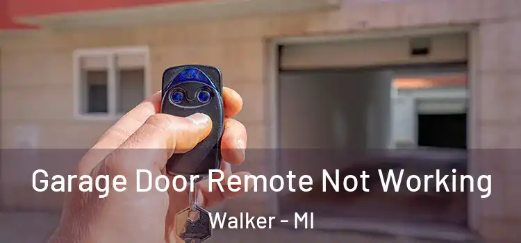  Garage Door Remote Not Working Walker - MI