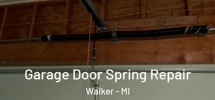 Garage Door Spring Repair Walker - MI