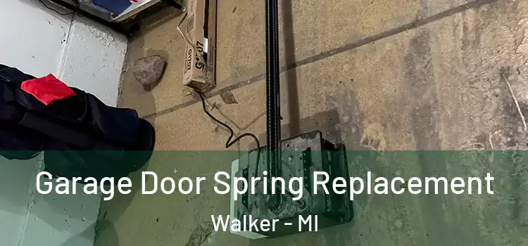  Garage Door Spring Replacement Walker - MI