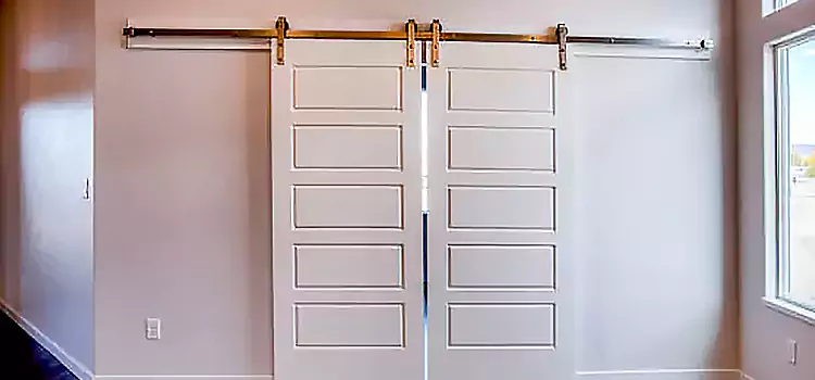 Glass Barn Door with Installation Hardware Kit Walker