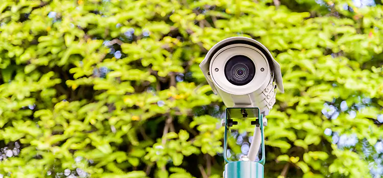 Advanced Surveillance Solutions for Every Need in Walker