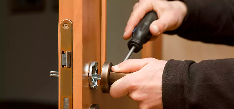 Rekey Car Locks Walker