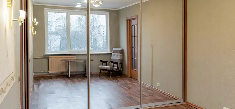 Mirror Closet Door Roller Replacement Walker