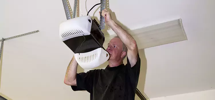 Garage Door Opener Service Walker